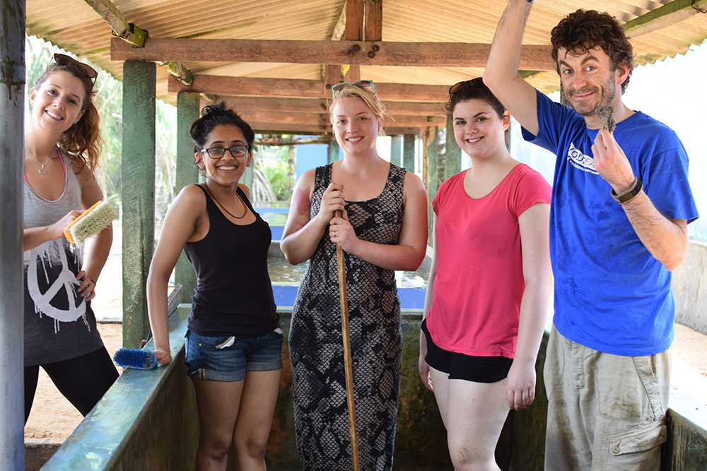 Volunteers helping at a turtle conservation project in Sri Lanka 