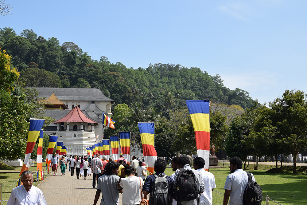 Visit iconic places like the Temple of the Tooth in Kandy, Sri Lanka, during a family volunteering holiday