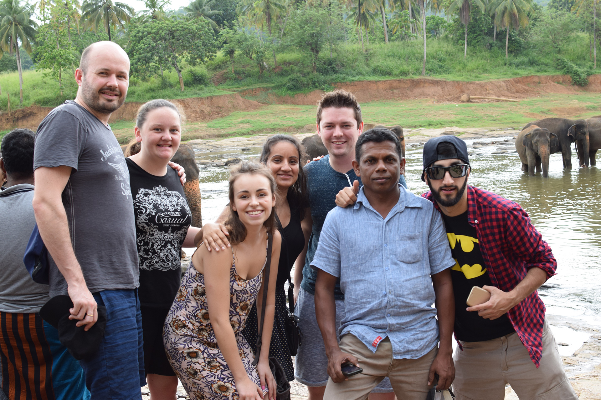 Come face to face with huge elephants in Sri Lanka during a 2 week group trip with VoluntEars 
