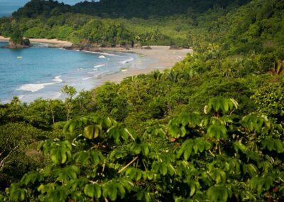 Turquoise sea meeting a beautiful beach surrounded by forest on the coast in Costa Rica