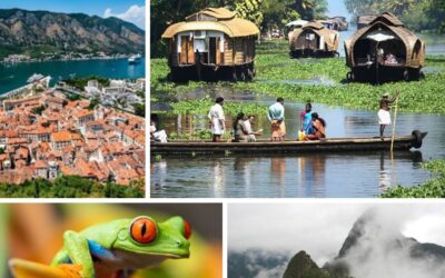 New trips announced – Costa Rica, India, Montenegro, Peru