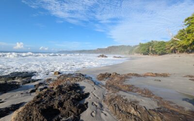 Trip update: Costa Rica – April 2026