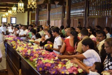 VoluntEars - Sri Lanka gallery