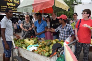 VoluntEars - Sri Lanka gallery