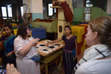 VoluntEars - Sri Lanka gallery