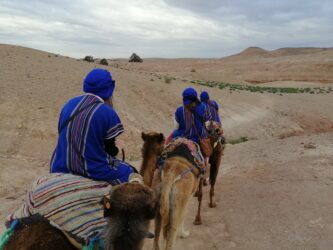 VoluntEars - riding camels in Morocco