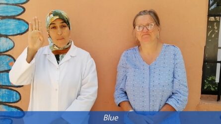 Colours - Moroccan Sign Language and BSL