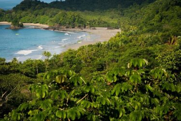 Turquoise sea meeting a beautiful beach surrounded by forest on the coast in Costa Rica