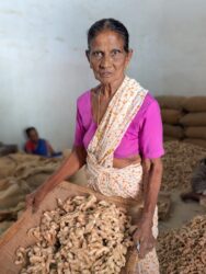 Spice market in Kochi, India - VoluntEars